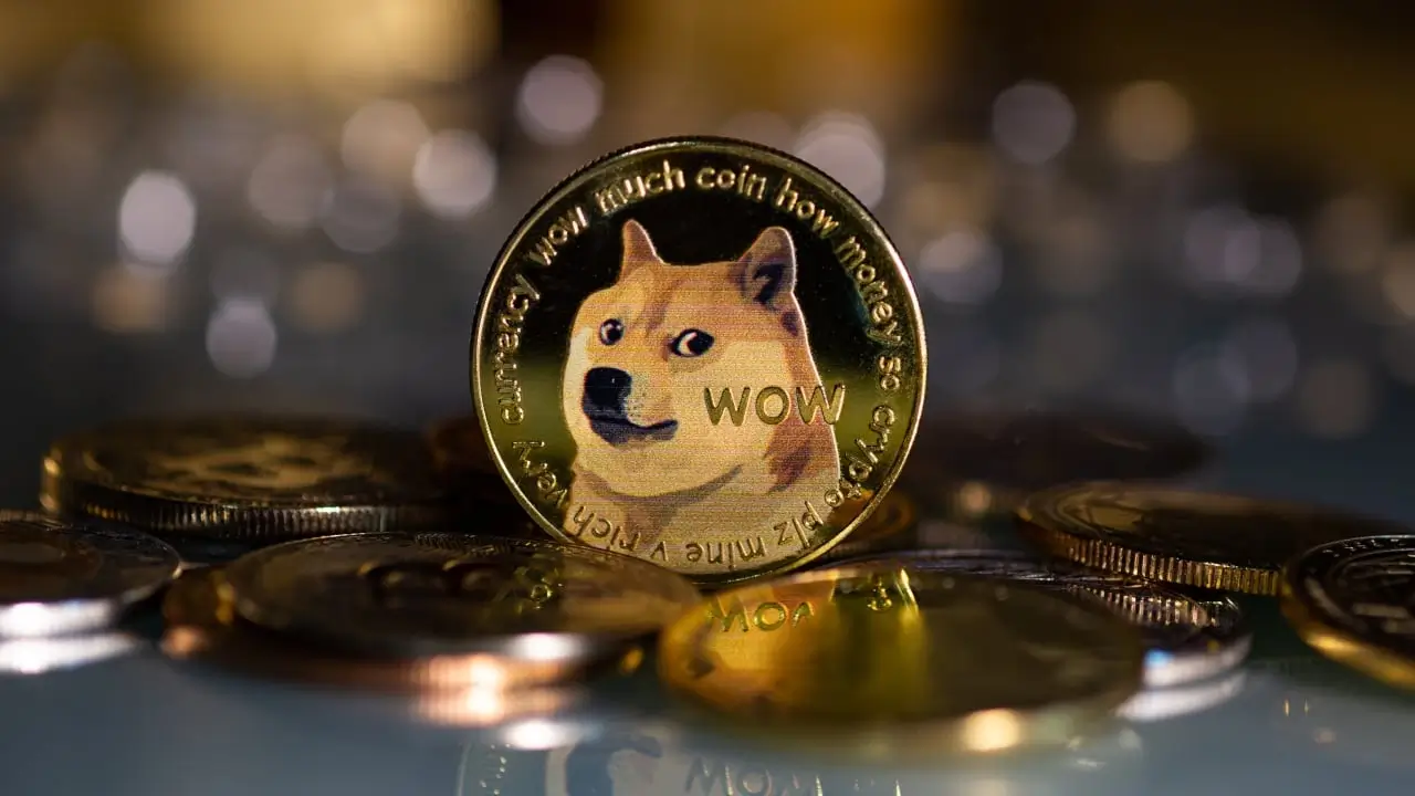 Doge Miner Explores Cryptocurrency Fun